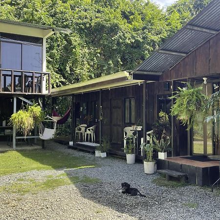 Casa Morpho Uvita Guesthouse Extérieur photo