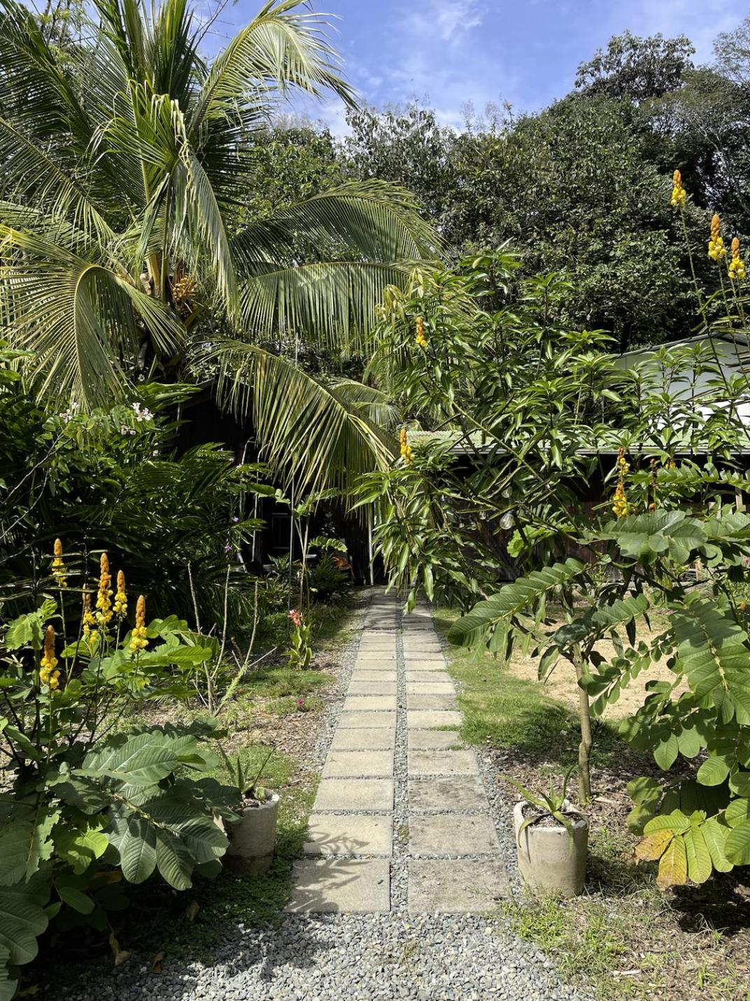 Casa Morpho Uvita Guesthouse Extérieur photo